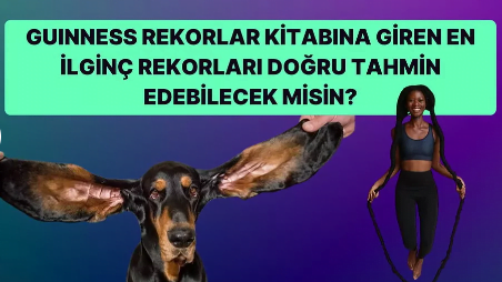 Ekran Alıntısı